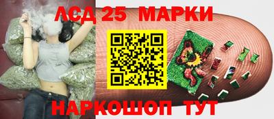 гидра Рязань