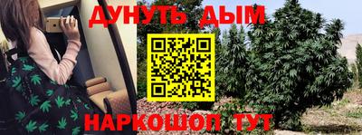 гидра Рязань