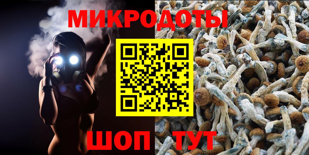 Псилоцибиновые грибы прущие грибы Полевской