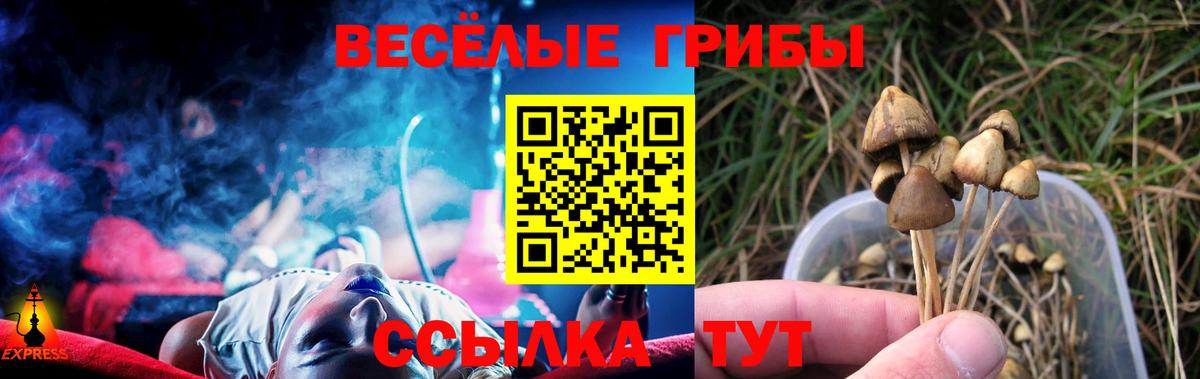 Псилоцибиновые грибы мицелий  Вход с VPN  Полевской  Галлюциногенные грибы Psilocybe 